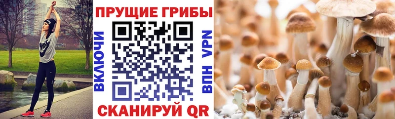 Псилоцибиновые грибы MAGIC MUSHROOMS Закаменск